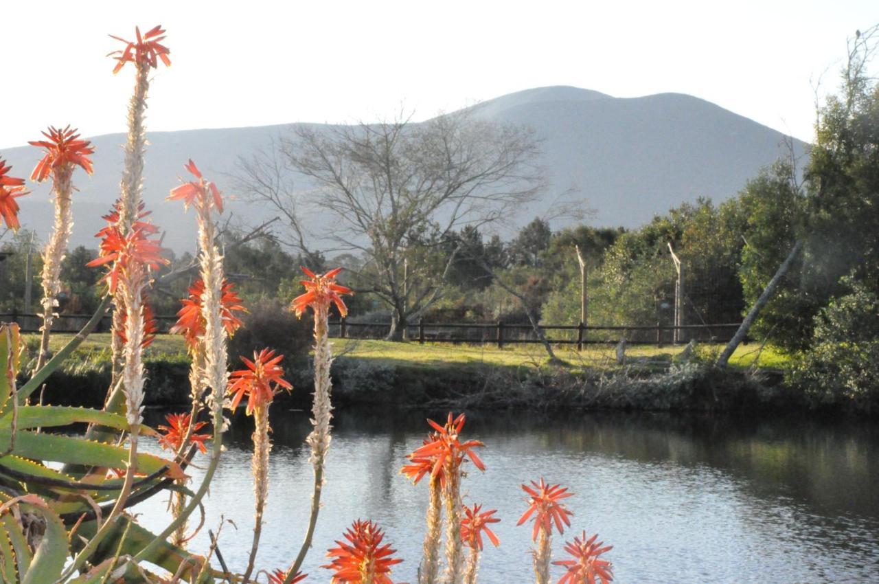 Tenikwa Wildlife Centre & Farm stay *