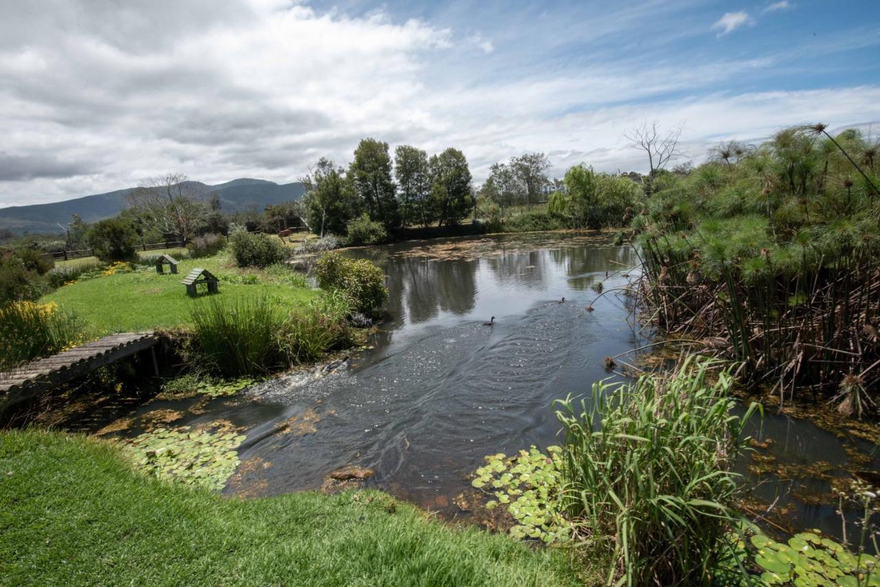 Tenikwa Wildlife Centre & *