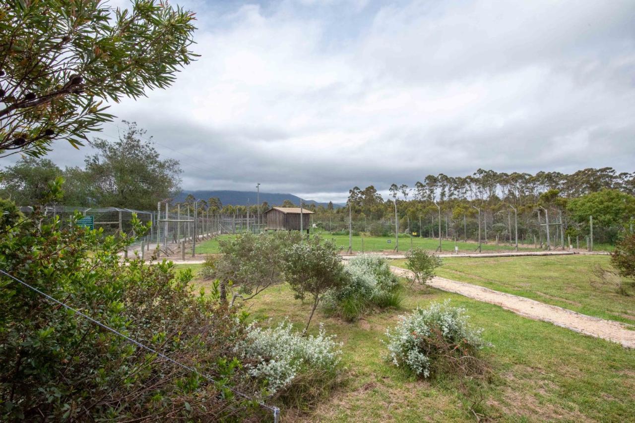 Farm stay Tenikwa Wildlife Centre &