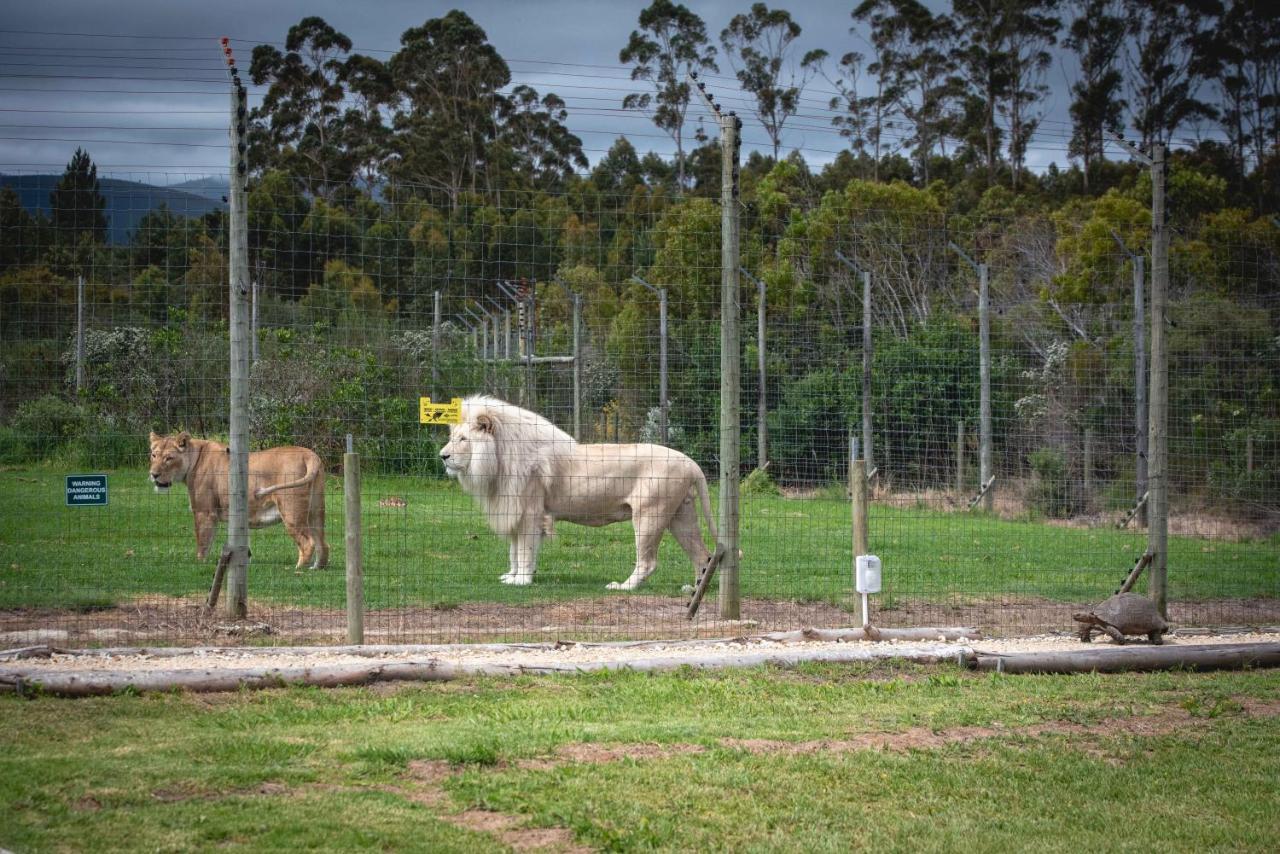 Farm stay Tenikwa Wildlife Centre & Plettenberg Bay