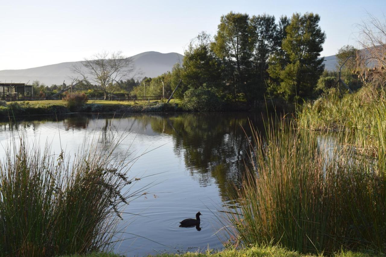 Tenikwa Wildlife Centre & * Plettenberg Bay