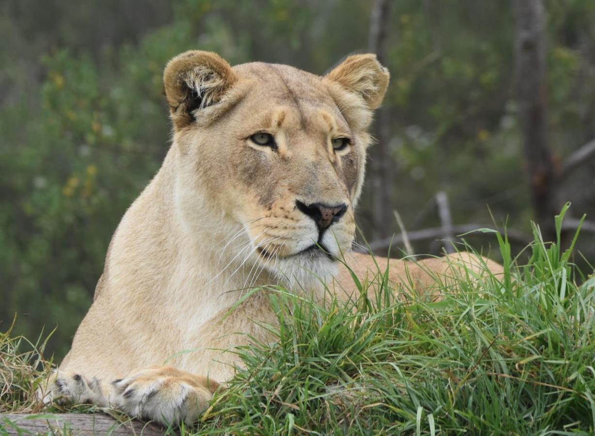 Farm stay Tenikwa Wildlife Centre & *