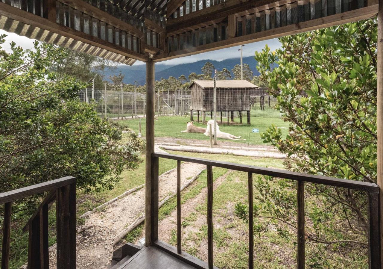 Tenikwa Wildlife Centre & Plettenberg Bay